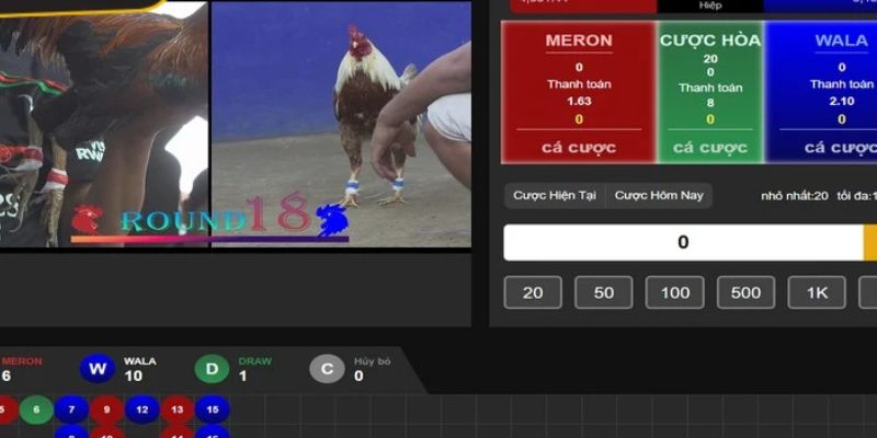 Tìm hiểu Đá gà Thomo có bình luận viên là gì?