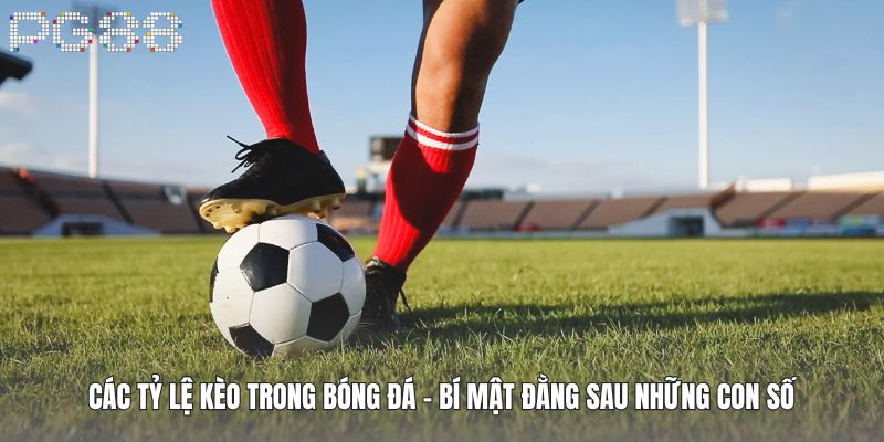 Các Tỷ Lệ Kèo Trong Bóng Đá - Bí Mật Đằng Sau Những Con Số 3 Các Tỷ Lệ Kèo Trong Bóng Đá - Bí Mật Đằng Sau Những Con Số