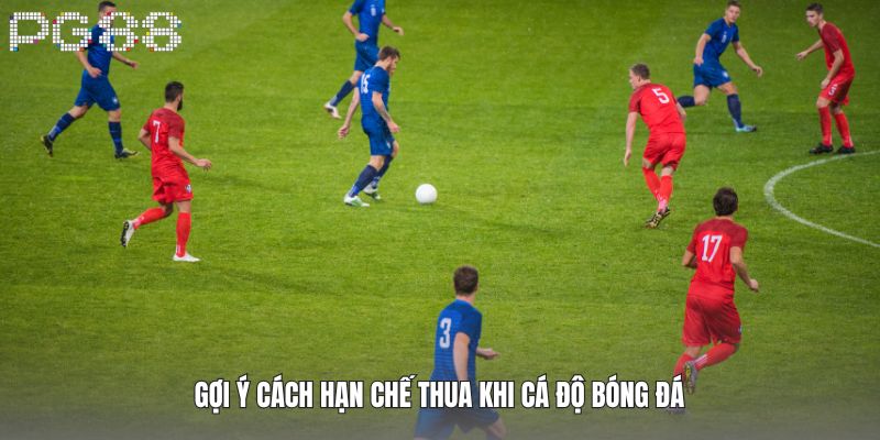 Gợi ý cách hạn chế thua khi cá độ bóng đá