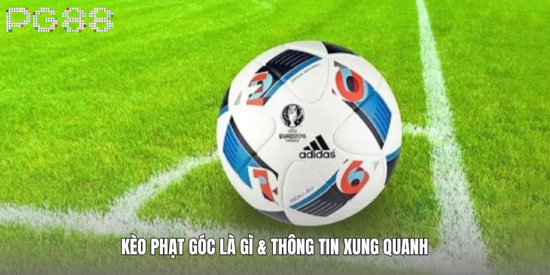 Kèo Phạt Góc Là Gì – Bí Quyết Soi Chuẩn & Chắc Thắng 2 Kèo phạt góc là gì & thông tin xung quanh