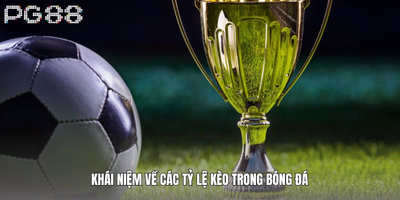 Các Tỷ Lệ Kèo Trong Bóng Đá - Bí Mật Đằng Sau Những Con Số 2 Khái niệm về các tỷ lệ kèo trong bóng đá