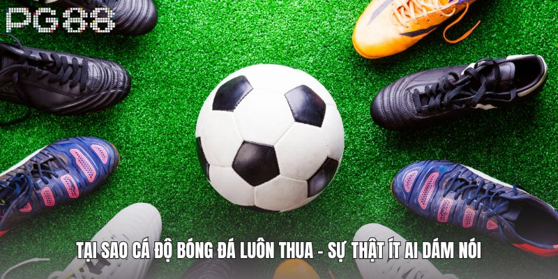 Tại Sao Cá Độ Bóng Đá Luôn Thua - Sự Thật Ít Ai Dám Nói 1 Tại Sao Cá Độ Bóng Đá Luôn Thua - Sự Thật Ít Ai Dám Nói