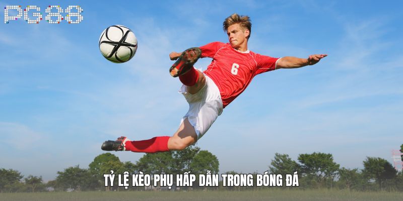 Các Tỷ Lệ Kèo Trong Bóng Đá - Bí Mật Đằng Sau Những Con Số 4 Tỷ lệ kèo phụ hấp dẫn trong bóng đá